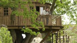 Large Treehouse for entertaining