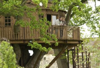 Our Favourite Trees for Building Tree Houses