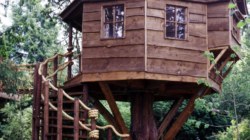 Tree House