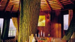 Treehouse