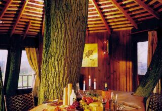 Is it Safe to have Electricity in a Treehouse?