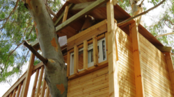 Treehouse