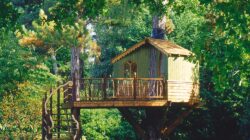 Treehouse