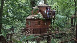 Treehouse