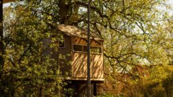 treehouse